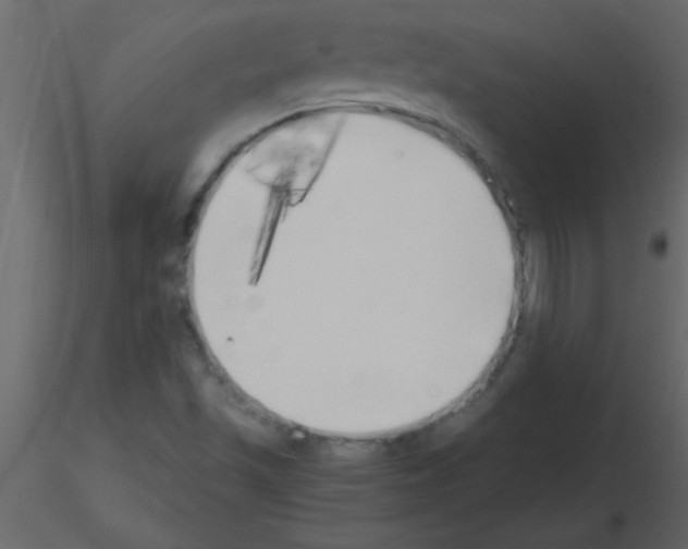 X0000115741501200912241636