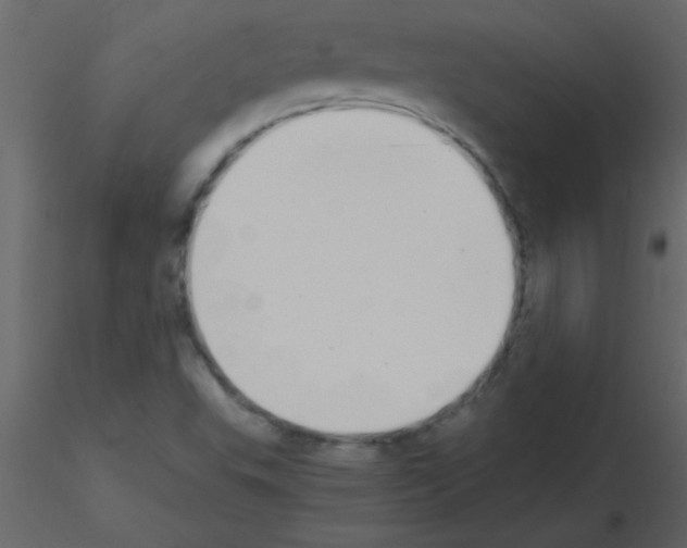 X0000115741503200912241636