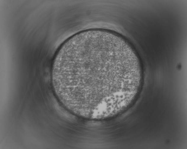 X0000115741505200912241636