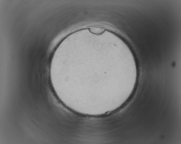 X0000115741506200912241636