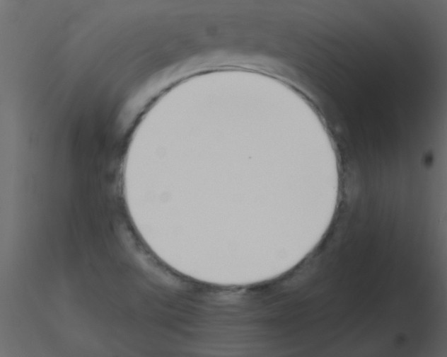 X0000115741507200912241636