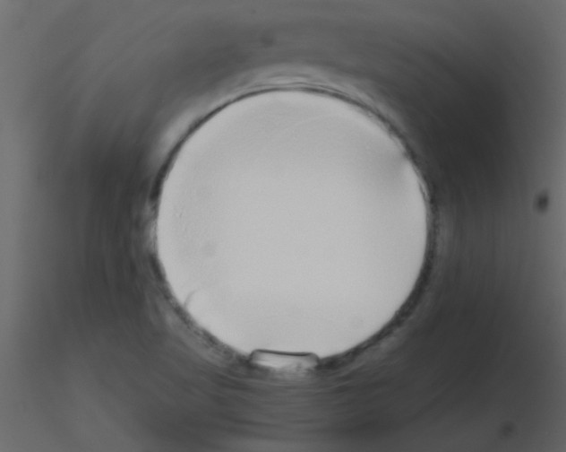 X0000115741509200912241636