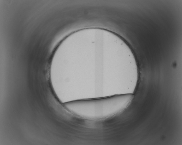 X0000115741510200912241636