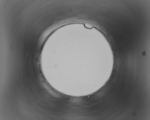 X0000115741511200912241636