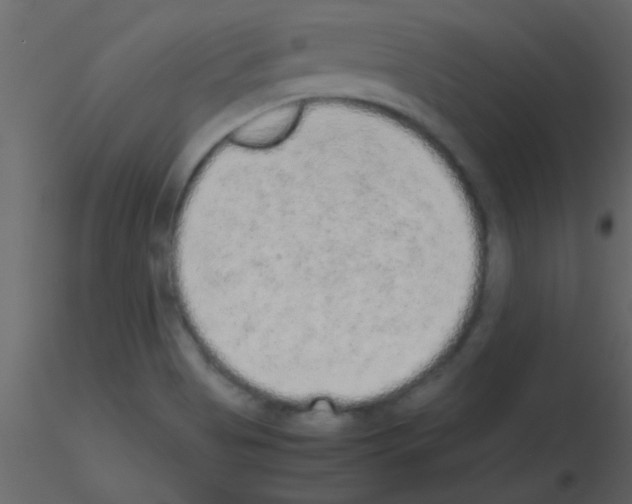 X0000115741513200912241636