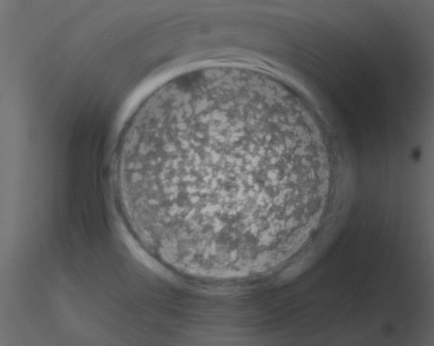 X0000115741514200912241636