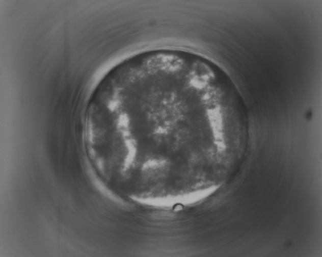 X0000115741515200912241636