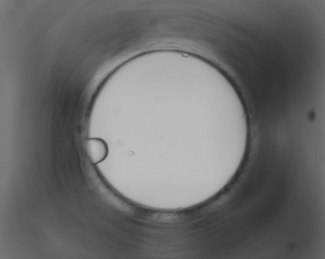 X0000115741517200912241636