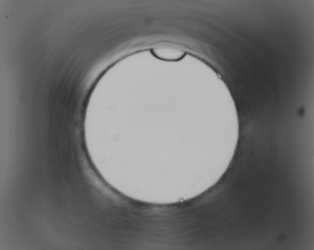 X0000115741518200912241636