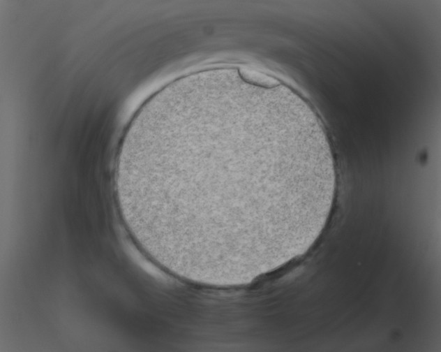 X0000115741519200912241636