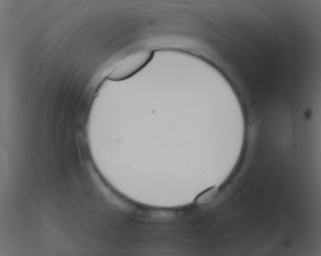 X0000115741521200912241636