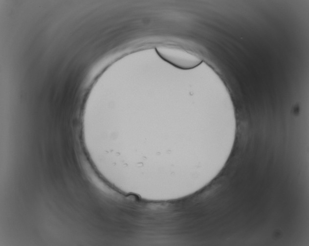 X0000115741523200912241636