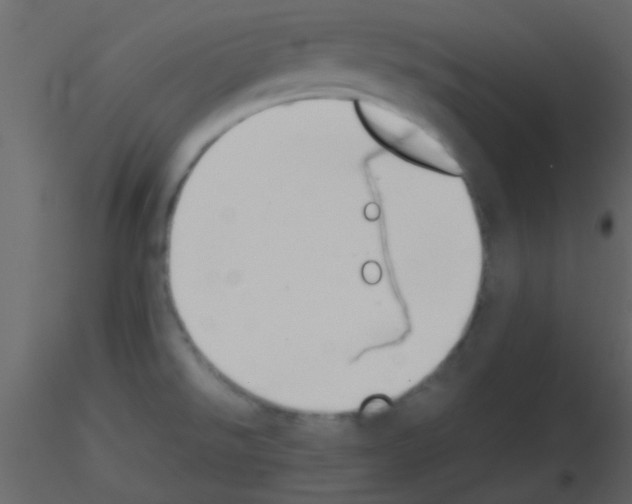 X0000115741526200912241636