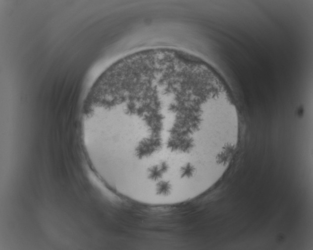 X0000115741527200912241636