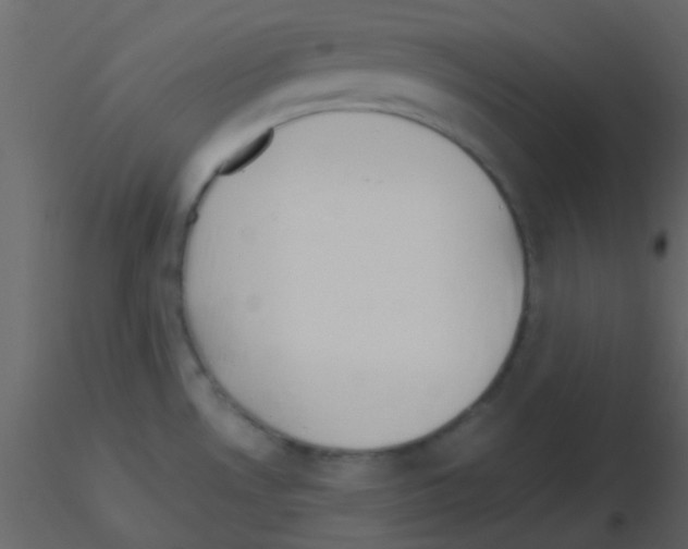 X0000115741530200912241636