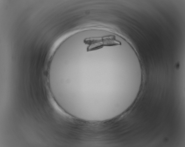 X0000115741531200912241636