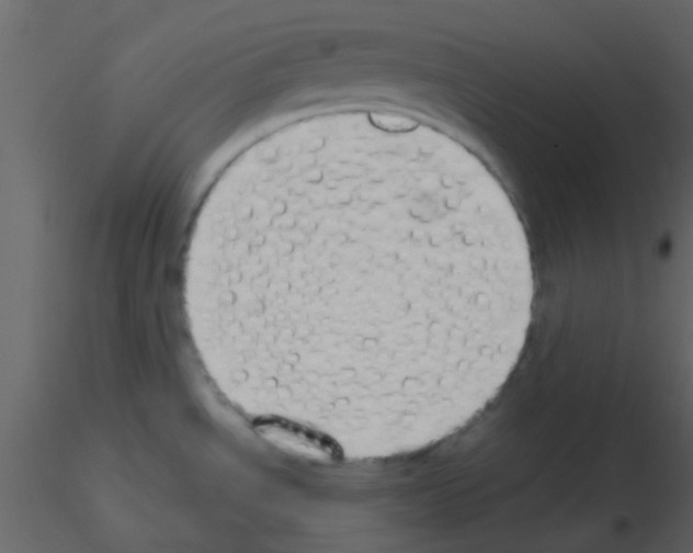 X0000115741534200912241636