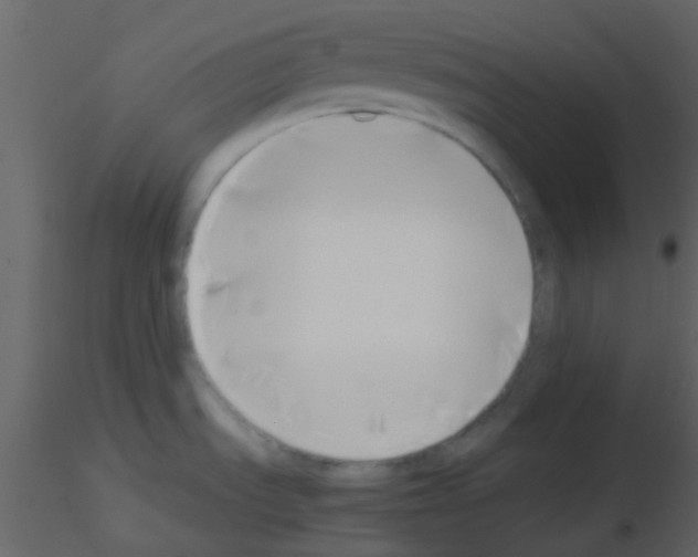 X0000115741535200912241637