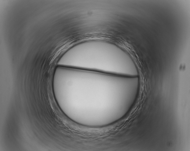 X0000115760001200911131010
