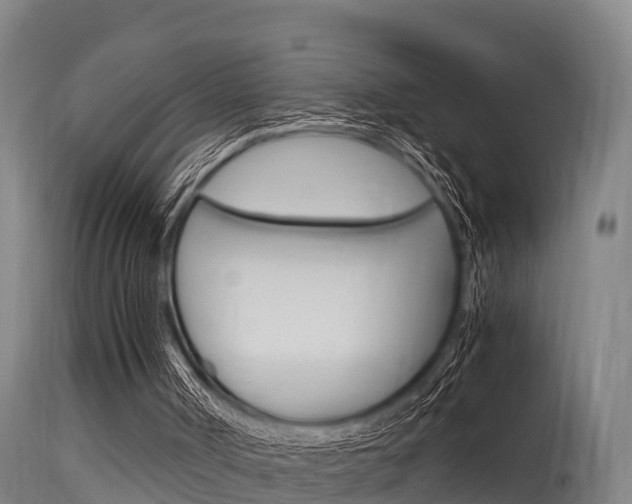 X0000115760002200911131010