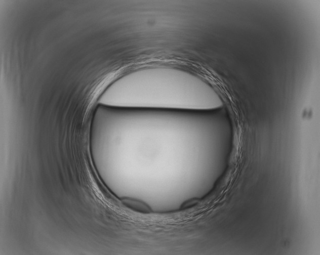 X0000115760003200911131010