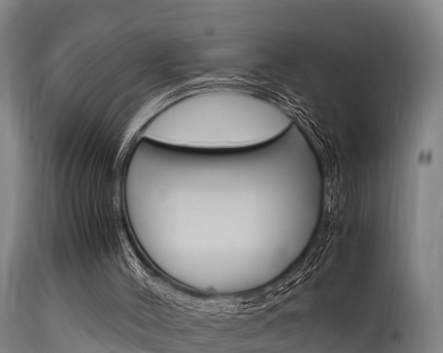 X0000115760004200911131010