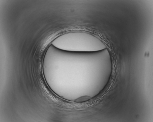 X0000115760005200911131010