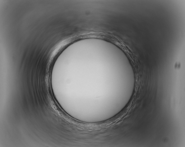 X0000115760006200911131010