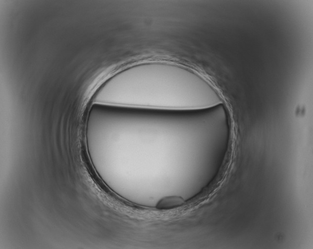 X0000115760007200911131010