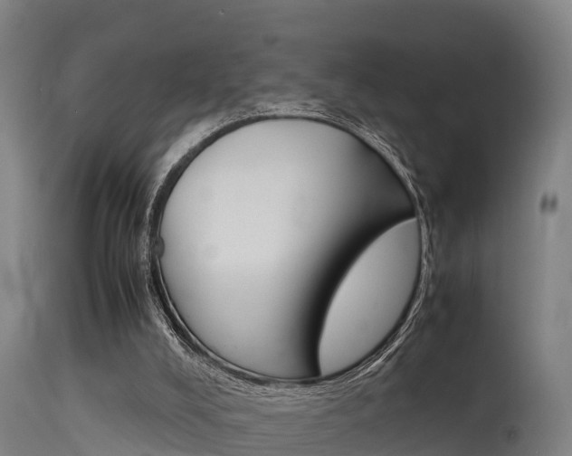 X0000115760008200911131010