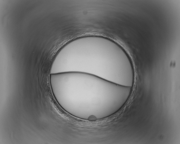 X0000115760009200911131010