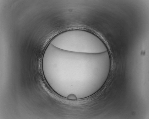 X0000115760010200911131010