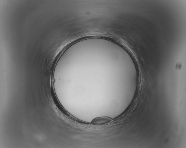 X0000115760011200911131010