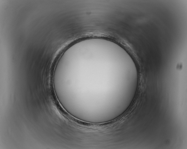 X0000115760012200911131010