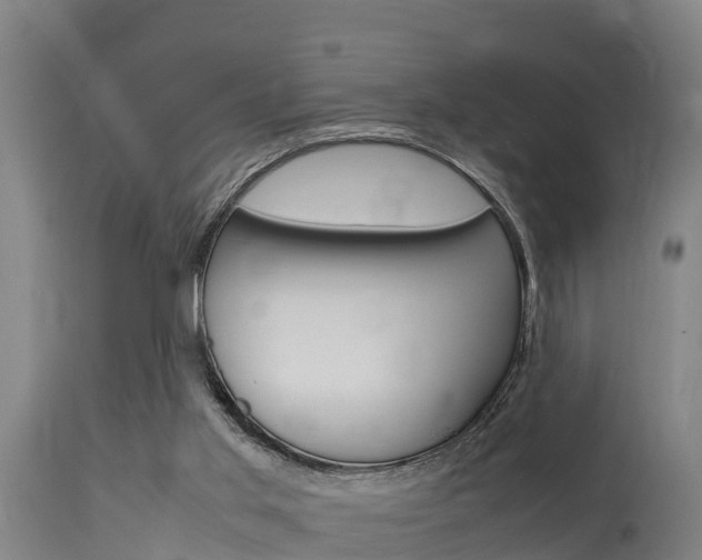 X0000115760013200911131010