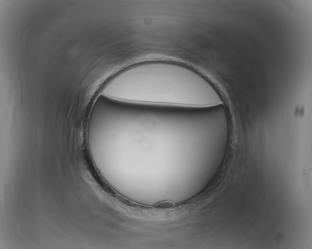 X0000115760015200911131009