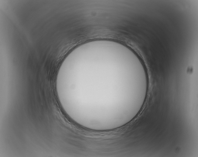 X0000115760017200911131009