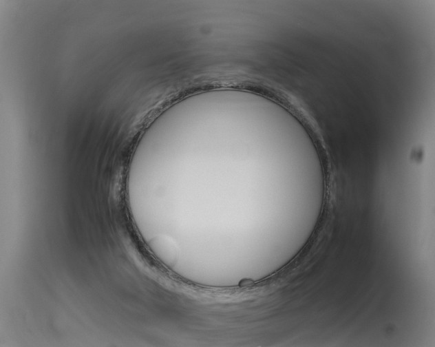 X0000115760018200911131009