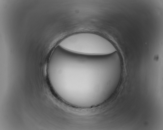 X0000115760019200911131009