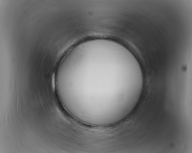 X0000115760020200911131009