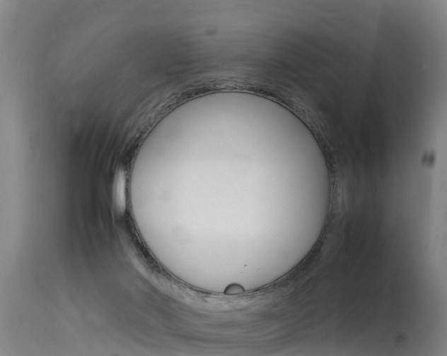 X0000115760022200911131009
