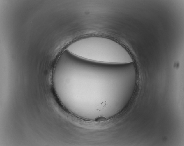 X0000115760023200911131009