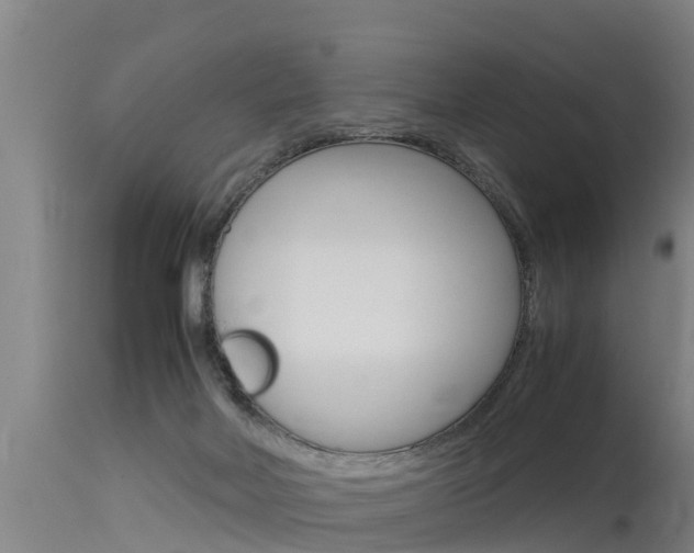 X0000115760026200911131009