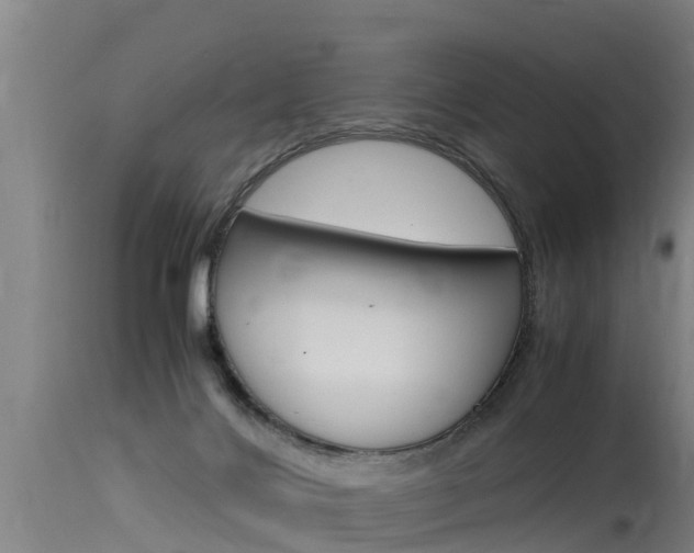 X0000115760028200911131009