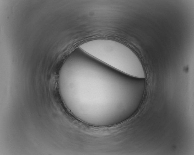 X0000115760029200911131009