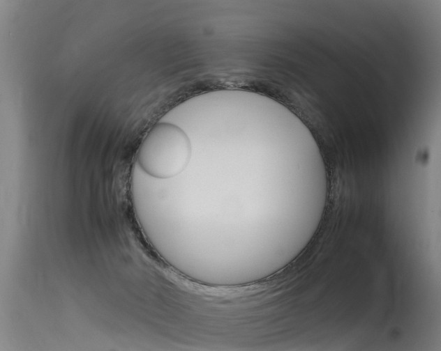 X0000115760030200911131009