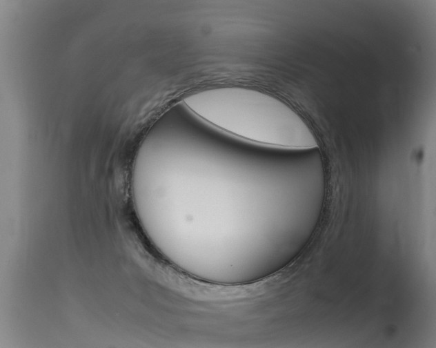 X0000115760031200911131009