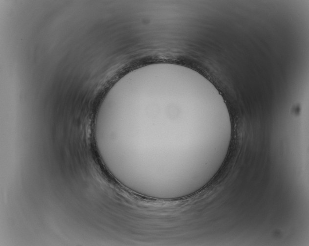 X0000115760032200911131009