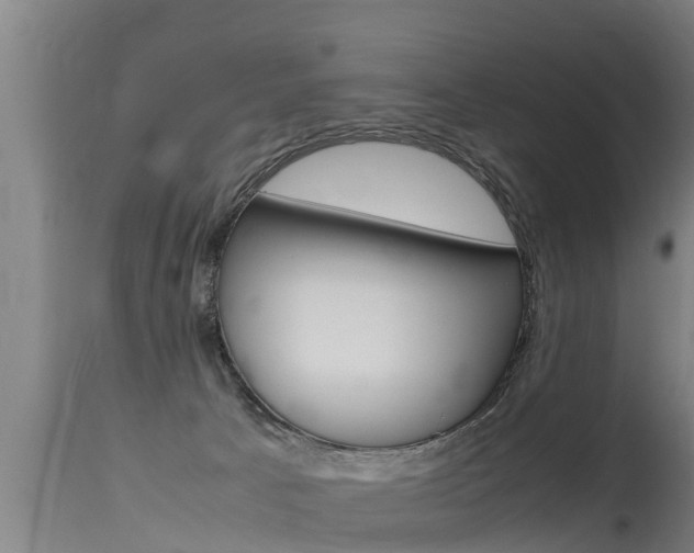 X0000115760033200911131009