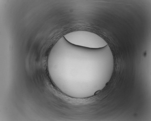 X0000115760034200911131009